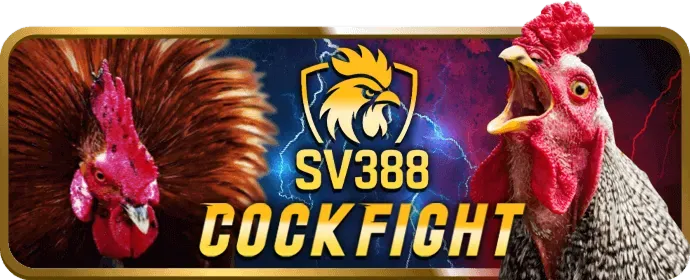 Hướng dẫn chi tiết cách chơi đá gà trên 89bet2 App